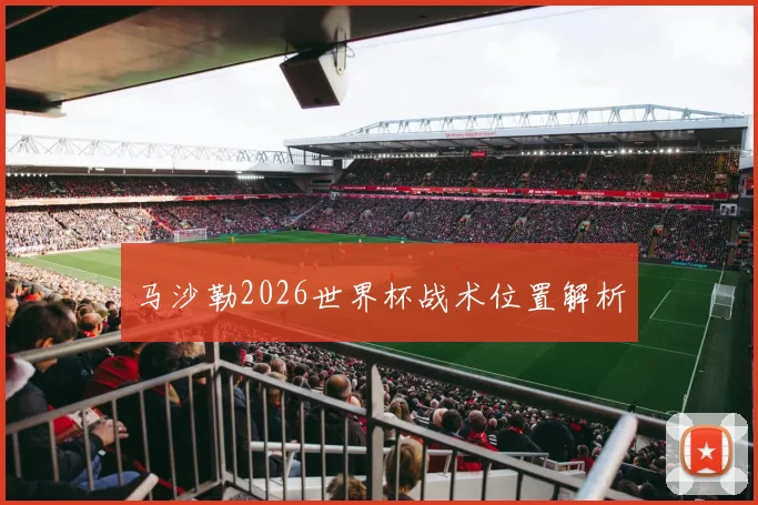 马沙勒2026世界杯战术位置解析