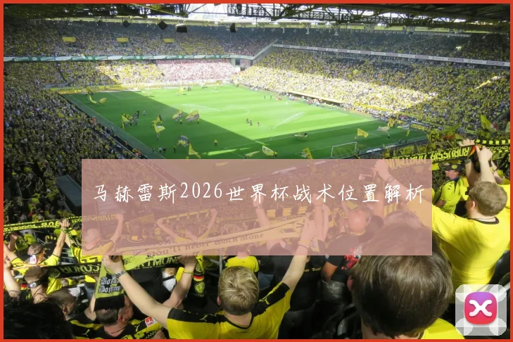 马赫雷斯2026世界杯战术位置解析