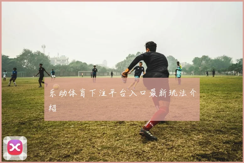 乐动体育下注平台入口最新玩法介绍