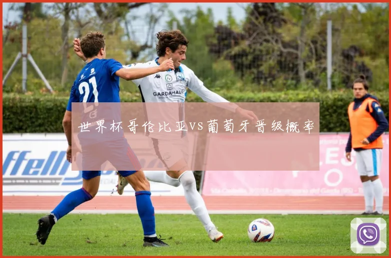 世界杯哥伦比亚vs葡萄牙晋级概率