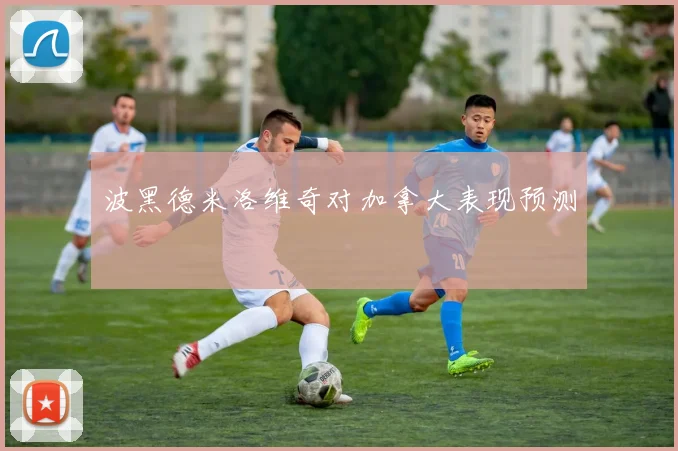 波黑德米洛维奇对加拿大表现预测