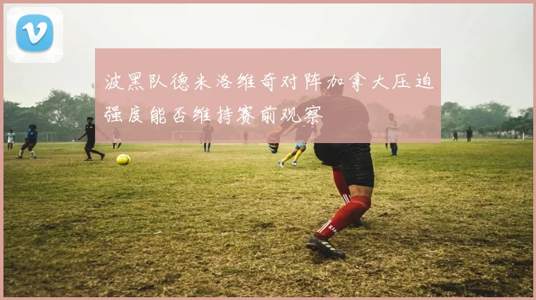 波黑队德米洛维奇对阵加拿大压迫强度能否维持赛前观察