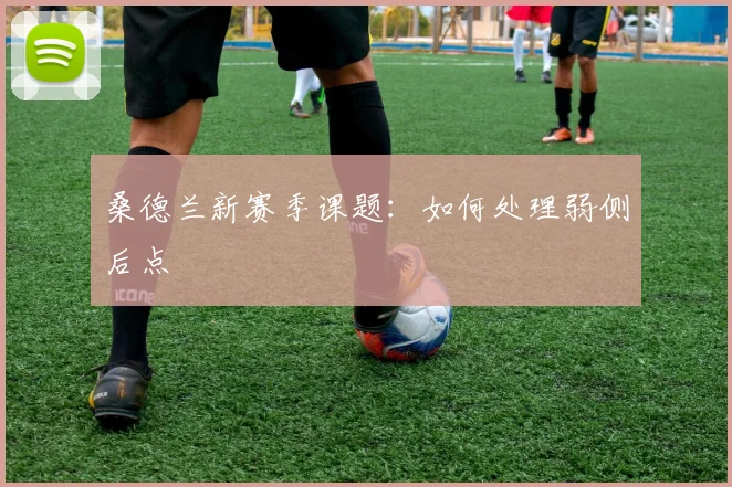 桑德兰新赛季课题：如何处理弱侧后点