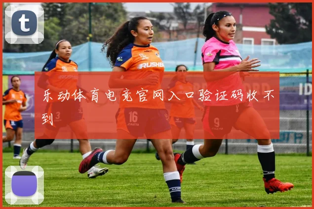 乐动体育电竞官网入口验证码收不到